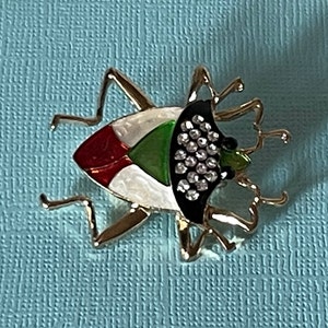 Strass Brosche, Brosche grün, Anstecknadel Skarabäus, Anstecknadel rot, Käfer Brosche, Heuschrecken Brosche, Wasser Käfer Brosche, Käfer Schmuck, Insekt