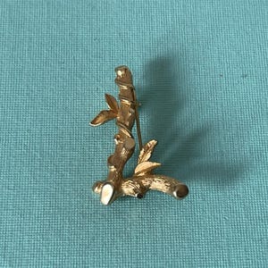 May include: A gold-toned brooch in the shape of a branch with leaves. The brooch has a textured surface and a pin closure on the back. The design includes small leaves and a rounded end.