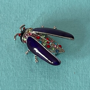 May include: A purple jeweled beetle brooch with silver accents and colorful rhinestones.