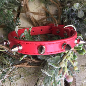 May include: Red leather dog collar with silver metal spikes.