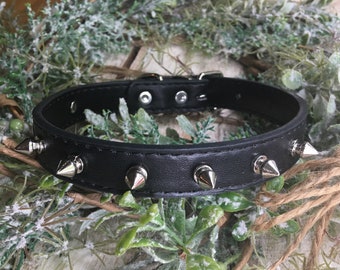 11.5 to 15.5 inch neck, Black Spike Dog Collar, for Medium dog or large puppy. Single row Silver Spiked on Black with sliver buckles