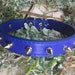 see more listings in the Dog Collars section