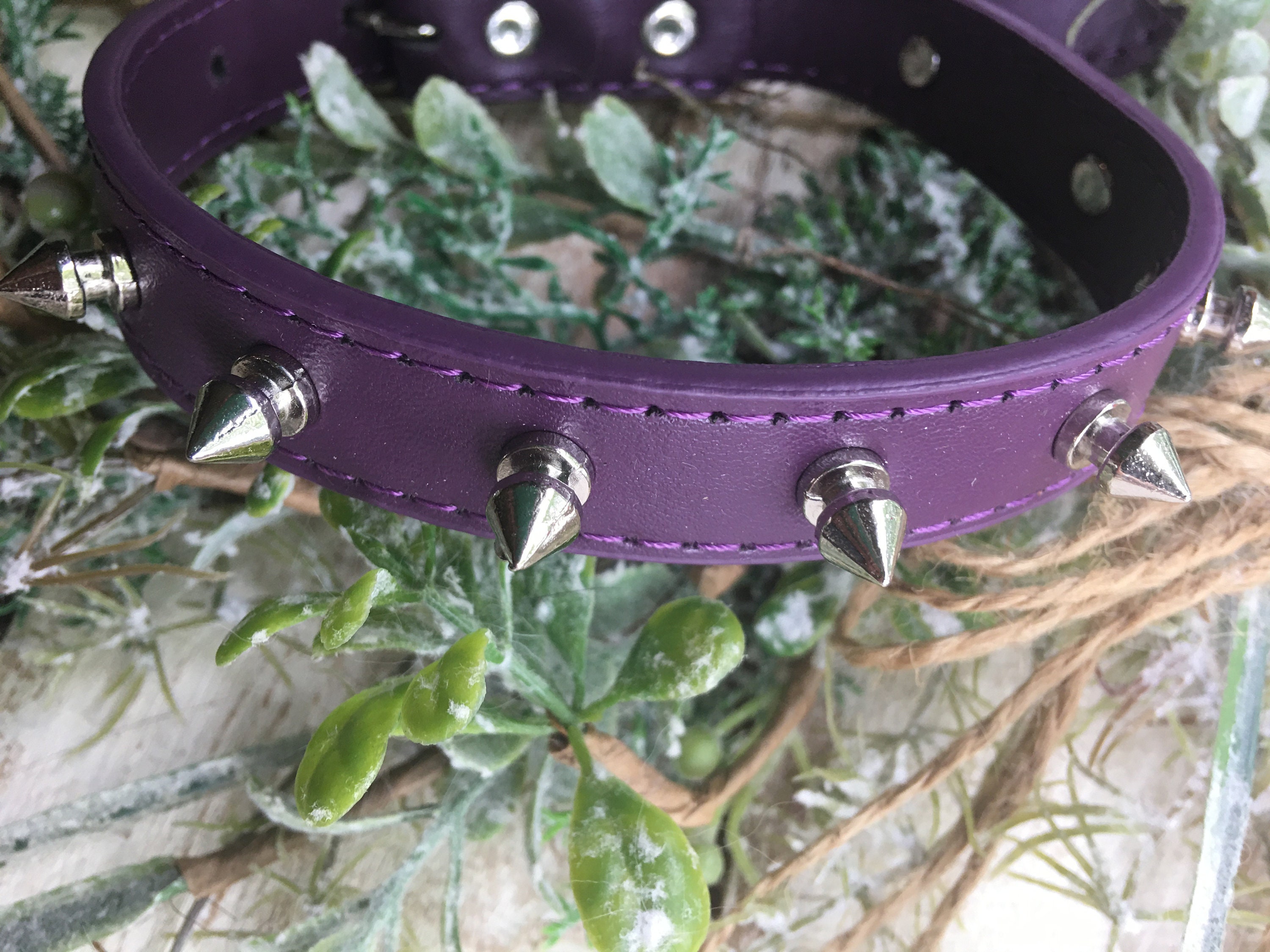 Purple studded dog collar 2025