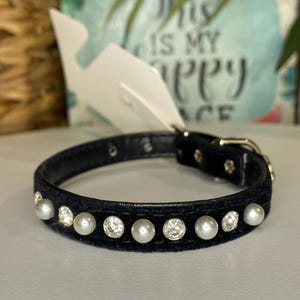 Könnte beinhalten: Schwarzes Samt-Haustierhalsband mit abwechselnd Kunstperlen und klaren Strasssteinen. Das Halsband hat eine silberfarbene Schnalle und ein angebrachtes Etikett. Für kleine Hunde oder Katzen.