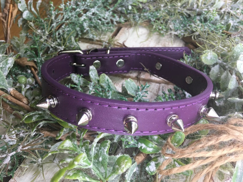 spike dog collar amazon spike dog collar amazon