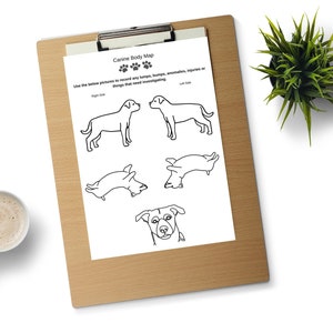 Canine Body Map A4 - zum sofortigen Download