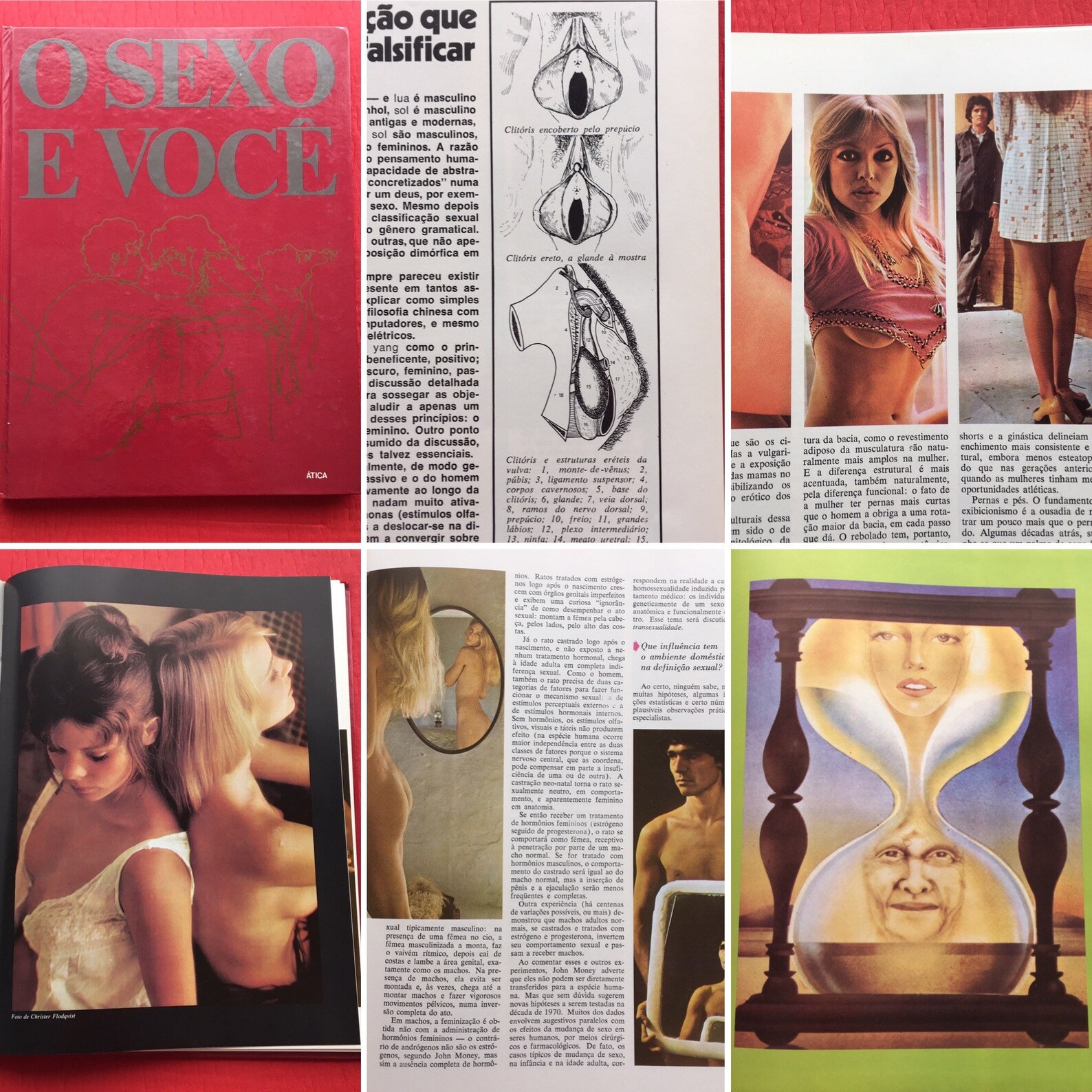 Sex Education Book From The 70s Vintage Book 60s Sex Ed Etsy