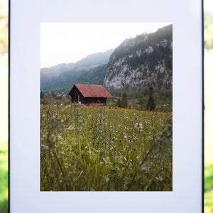 May include: A wooden cabin with a red roof sits in a field of wildflowers against a backdrop of a mountain range.
