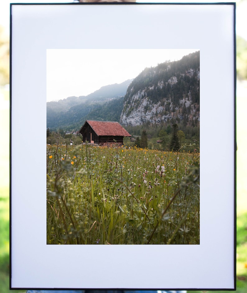 May include: A wooden cabin with a red roof sits in a field of wildflowers against a backdrop of a mountain range.