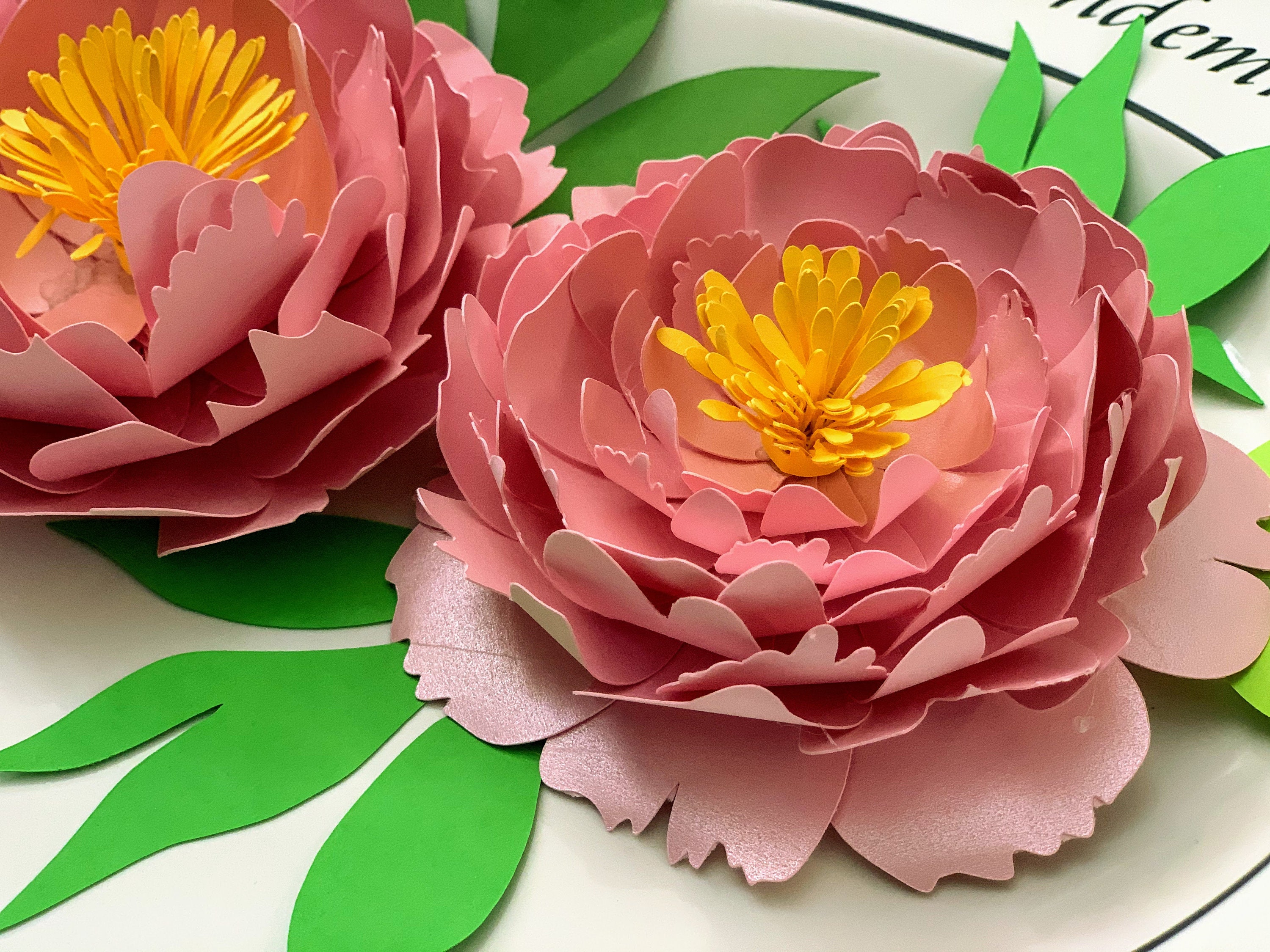 Peony Paper Flower/3d Paper Peony SVG DXF Template/paper Peony | Etsy