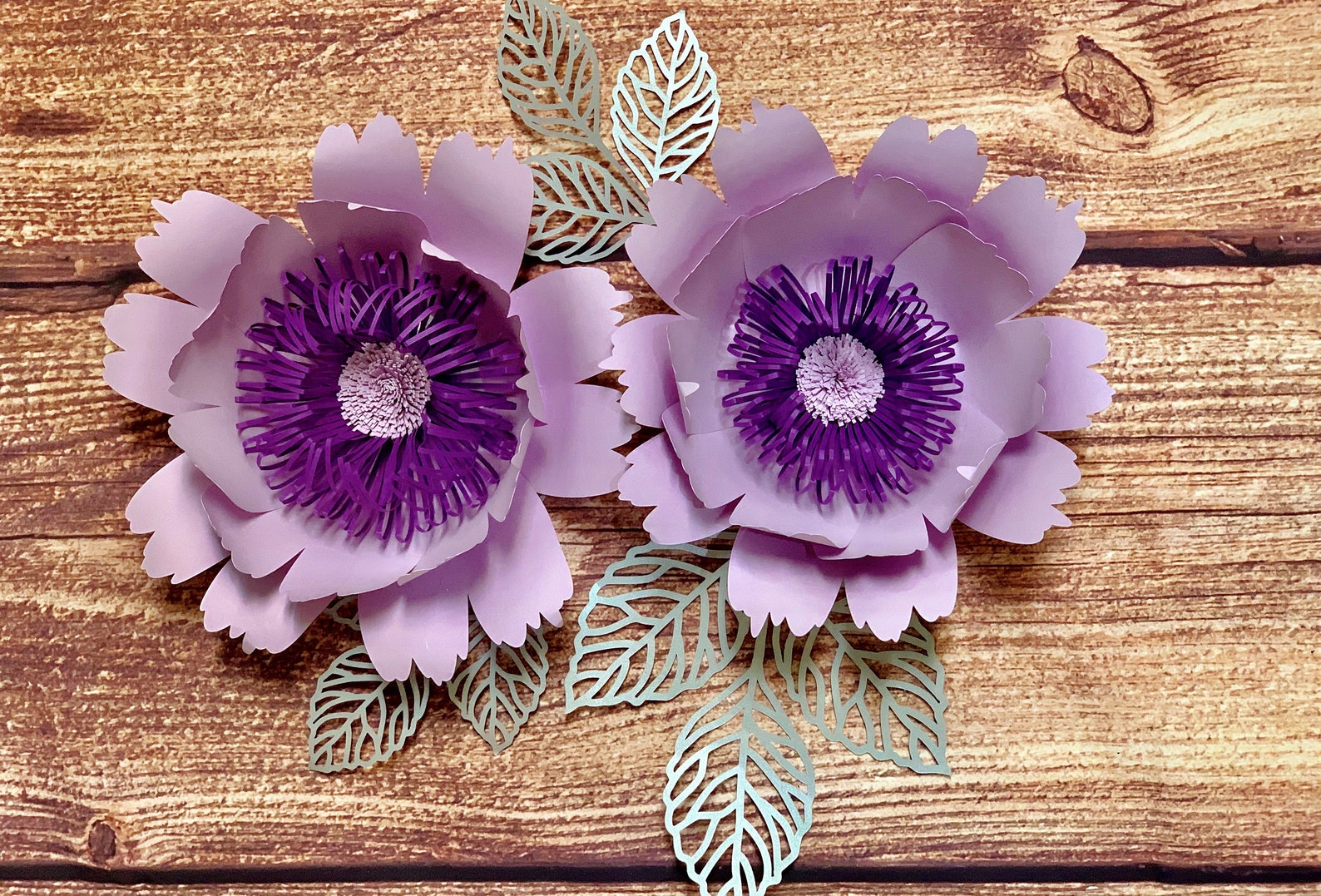 Paper Flower Template/wall Paper Flower Svg/cardstock Flower Etsy