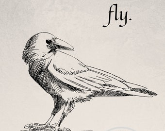 Serie Botánica / Pájaro / Mosca / Descarga imprimible / Arte Interior