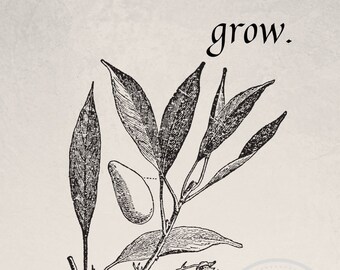 Serie Botánica / Crecer / Descarga imprimible / Arte Interior