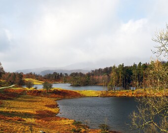 Tarn Hows Autumn - Lake District art print gift