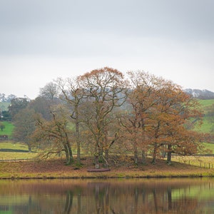 Autumn in the Lake District - Lake District art print
