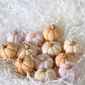May include: A collection of small, decorative pumpkins in various colors, including cream, peach, and pale pink. Each pumpkin has a wooden stem. The pumpkins are arranged on a bed of white paper filler, creating a fall-themed display.