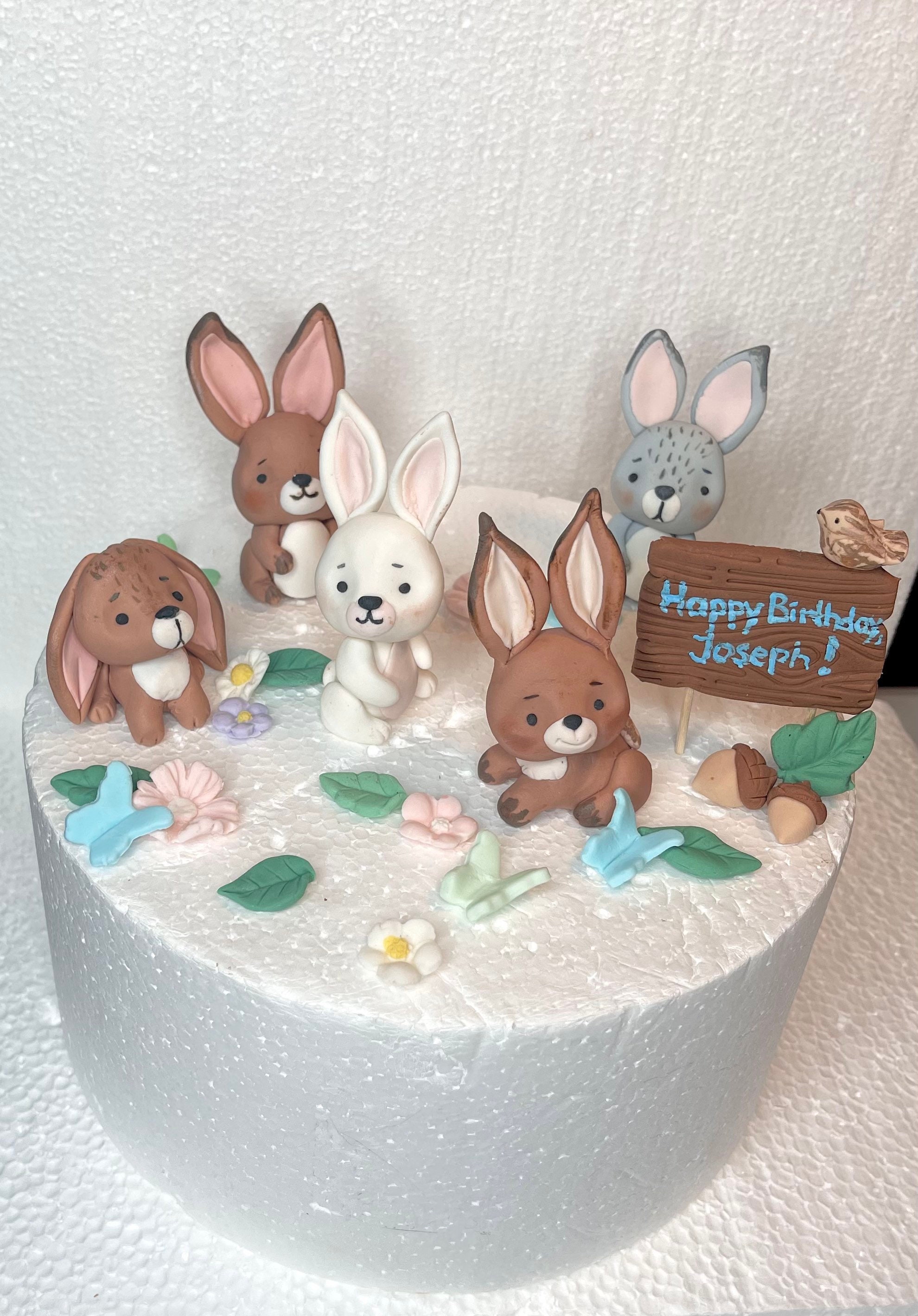 Peter Rabbit Bunny Party Supplies — Burnt Butter Cakes