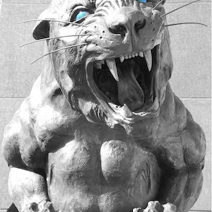 Charlotte Panther, Charlotte, NC