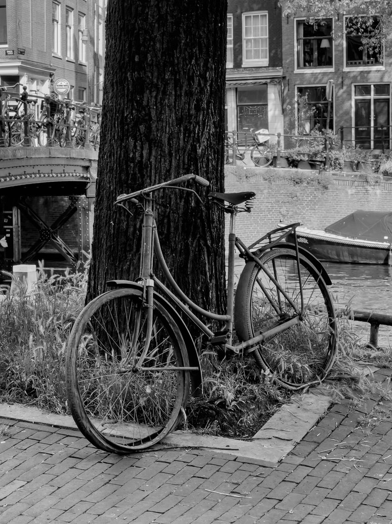 Black and White Photo of Abandoned Bike in Amsterdam Etsy