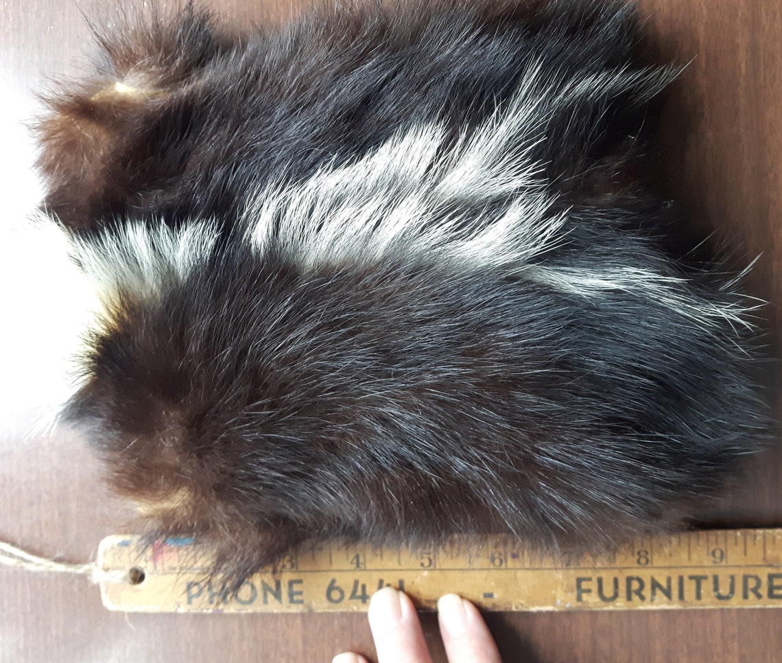 Real Skunk Bag Skunk Purse Tarot Bag Pipe Bag Skunk Fur Etsy