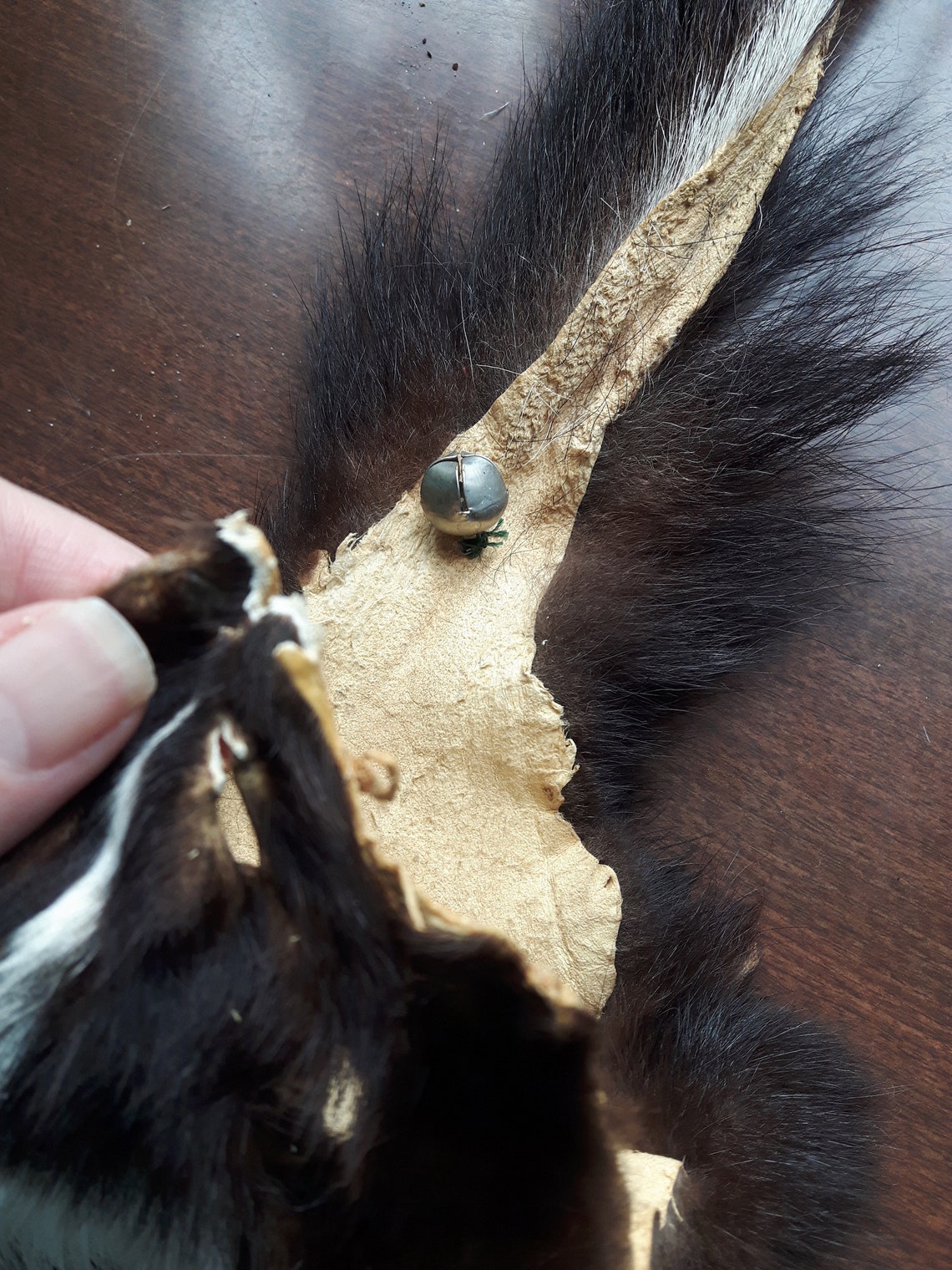 Real skunk bag skunk purse tarot bag pipe bag skunk fur Etsy