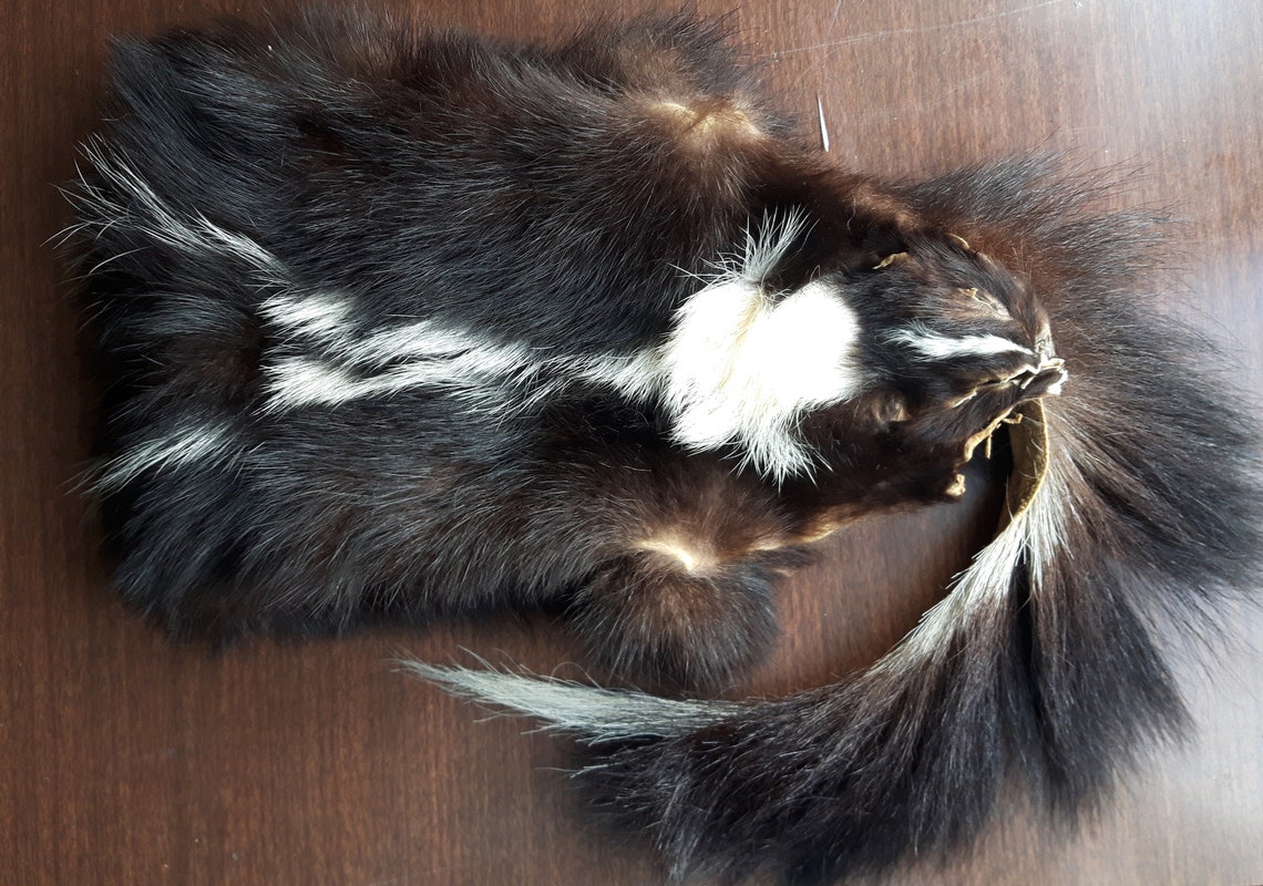 Real Skunk Bag Skunk Purse Tarot Bag Pipe Bag Skunk Fur Etsy