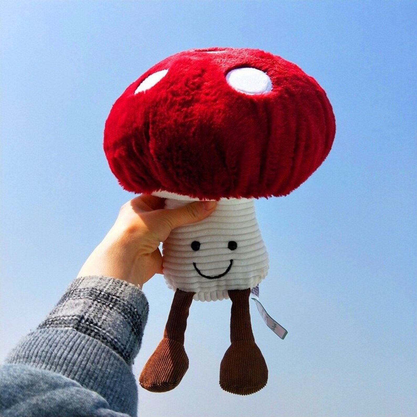  Mushroom Stuffed Animal in the world Learn more here 