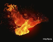 Corson image