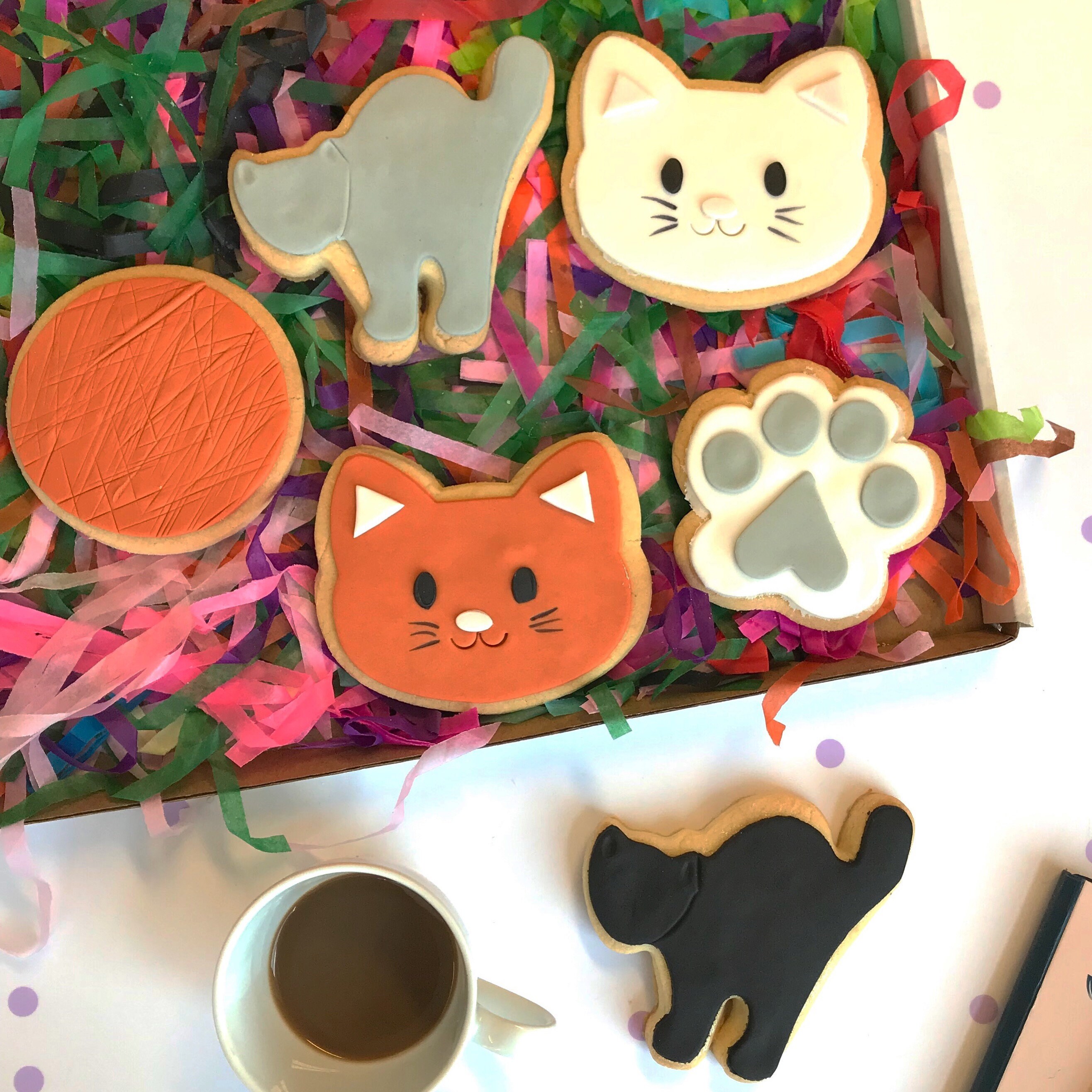 Cats Biscuit Gift Box Selection Box Shortbread Cookies Etsy