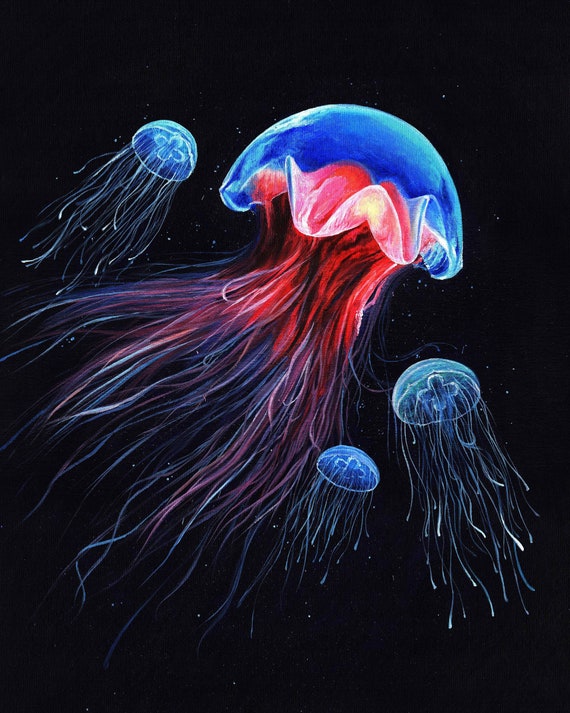 Jellyfish Print Jellyfish Canvas Print of Original Acrylic
