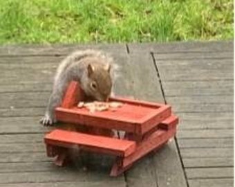 squirrel table wildlife feeder garden nature