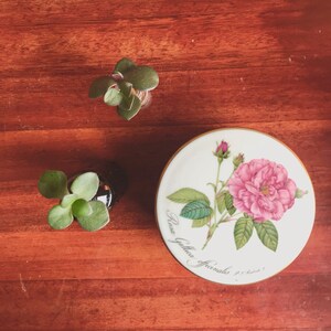 Rooted Jade