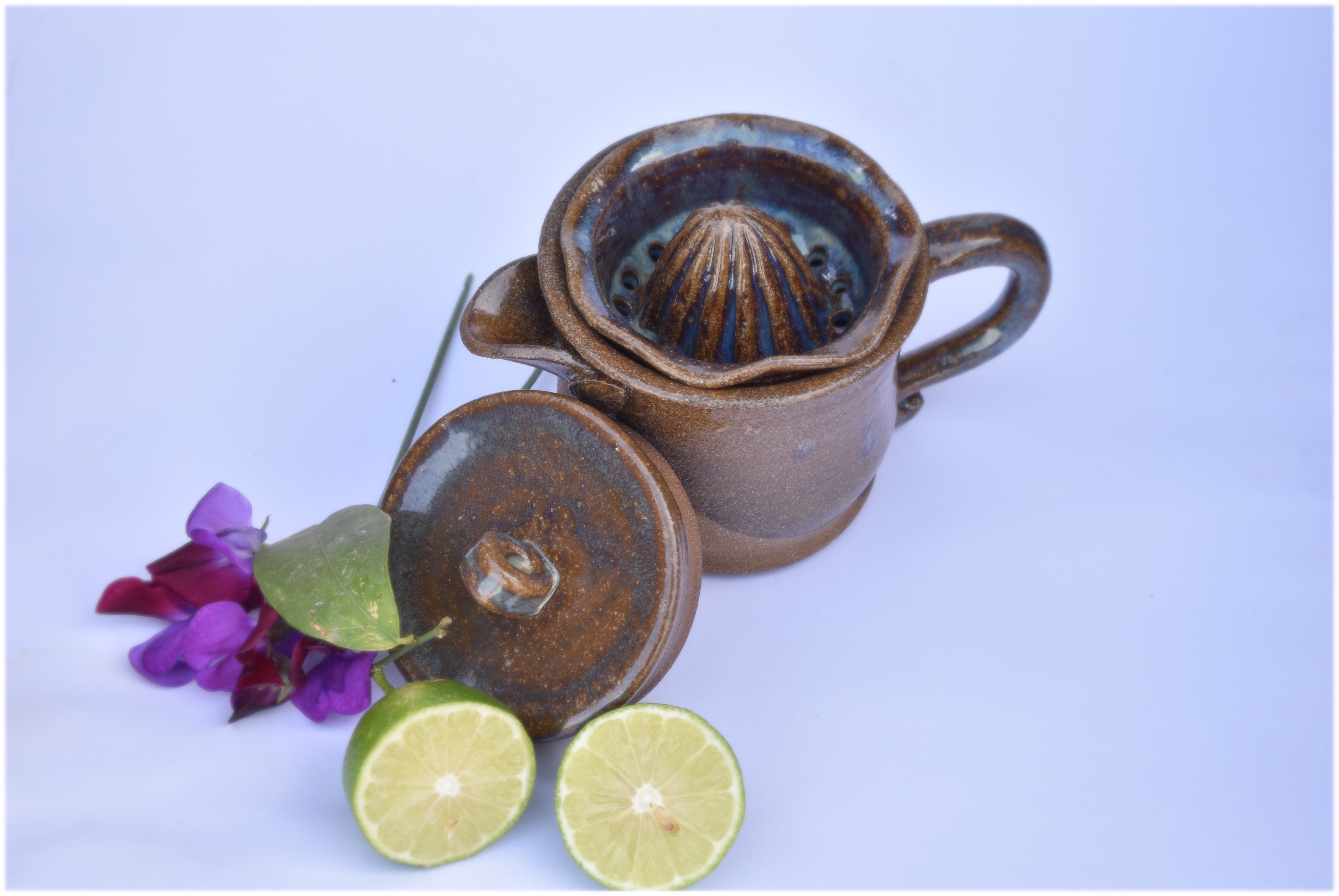 Lemon Juicer Pottery at Jeannine Jones blog