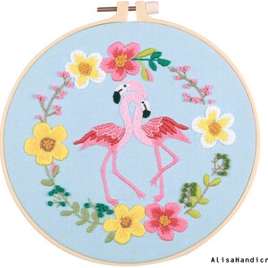 Pink Flamingo Starter Embroidery Kit, Preprinted Birds and Flowers Embroidery Kit for Beginners, with Pattern and English Instructions-8in B