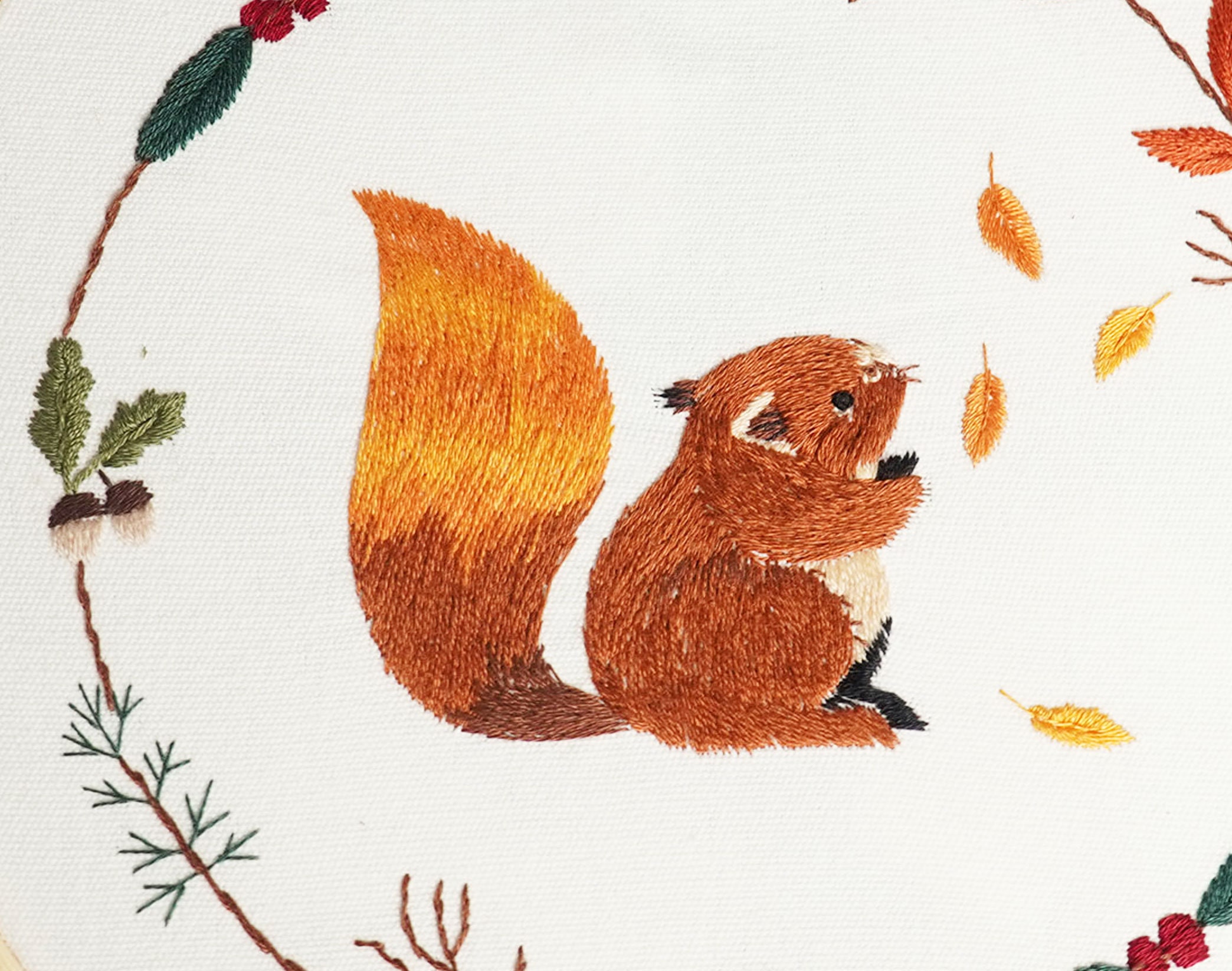 Beginner Hand Embroidery Squirrel Full Kit DIY Flowers and - Etsy