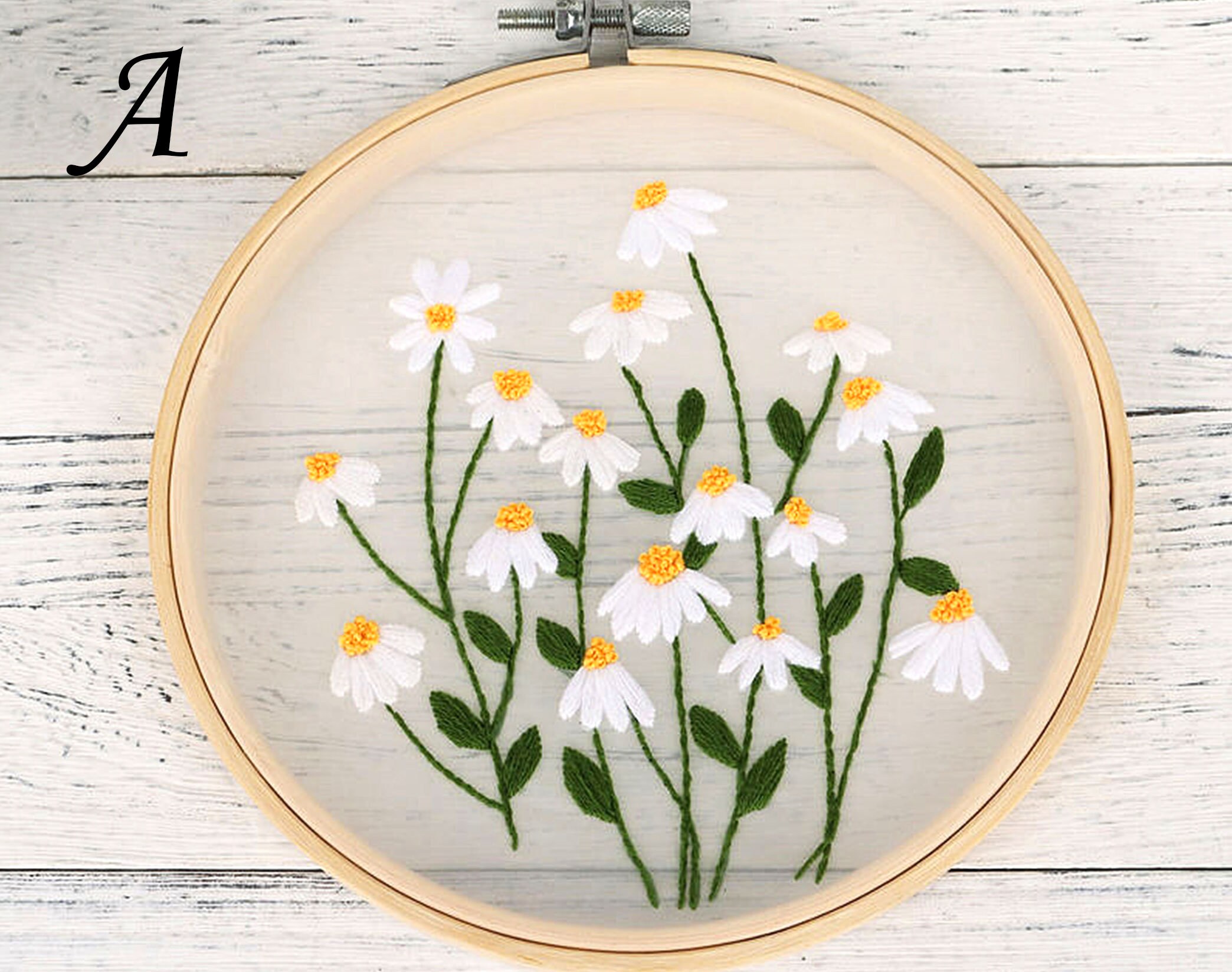 Plants Embroidery Kit for Beginner DIY Transparent Embroidery Etsy