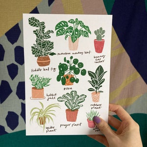 Houseplants A5 Print