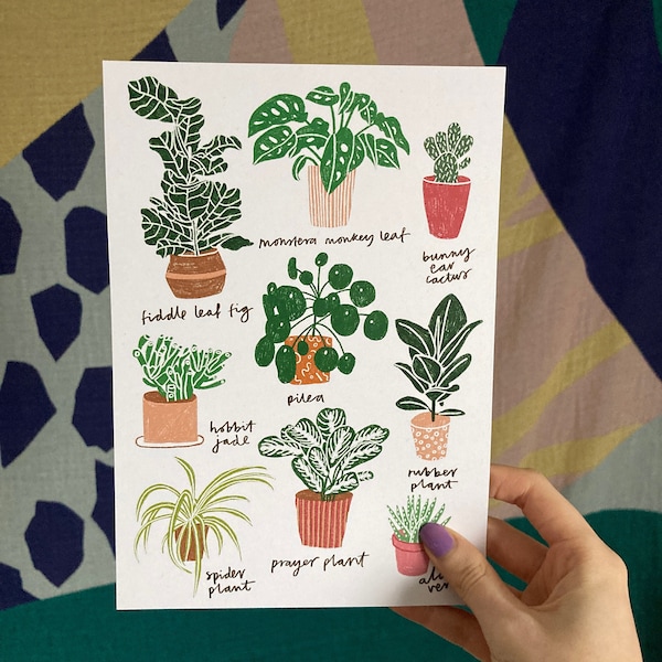 Houseplants A5 Print