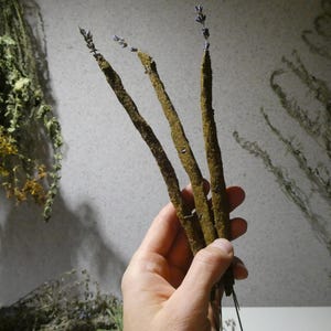 SET VAN 3 jeneverbes wierook/ met lavendel en wierook/ 100% natuurlijk 1 grote wierookstokjes voor smudgerituelen/ sacrale sterke geur/