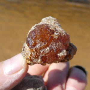 MYRRH Commiphora myrrha From Somalia/ High Quality Resin/ Incense/ High Quality