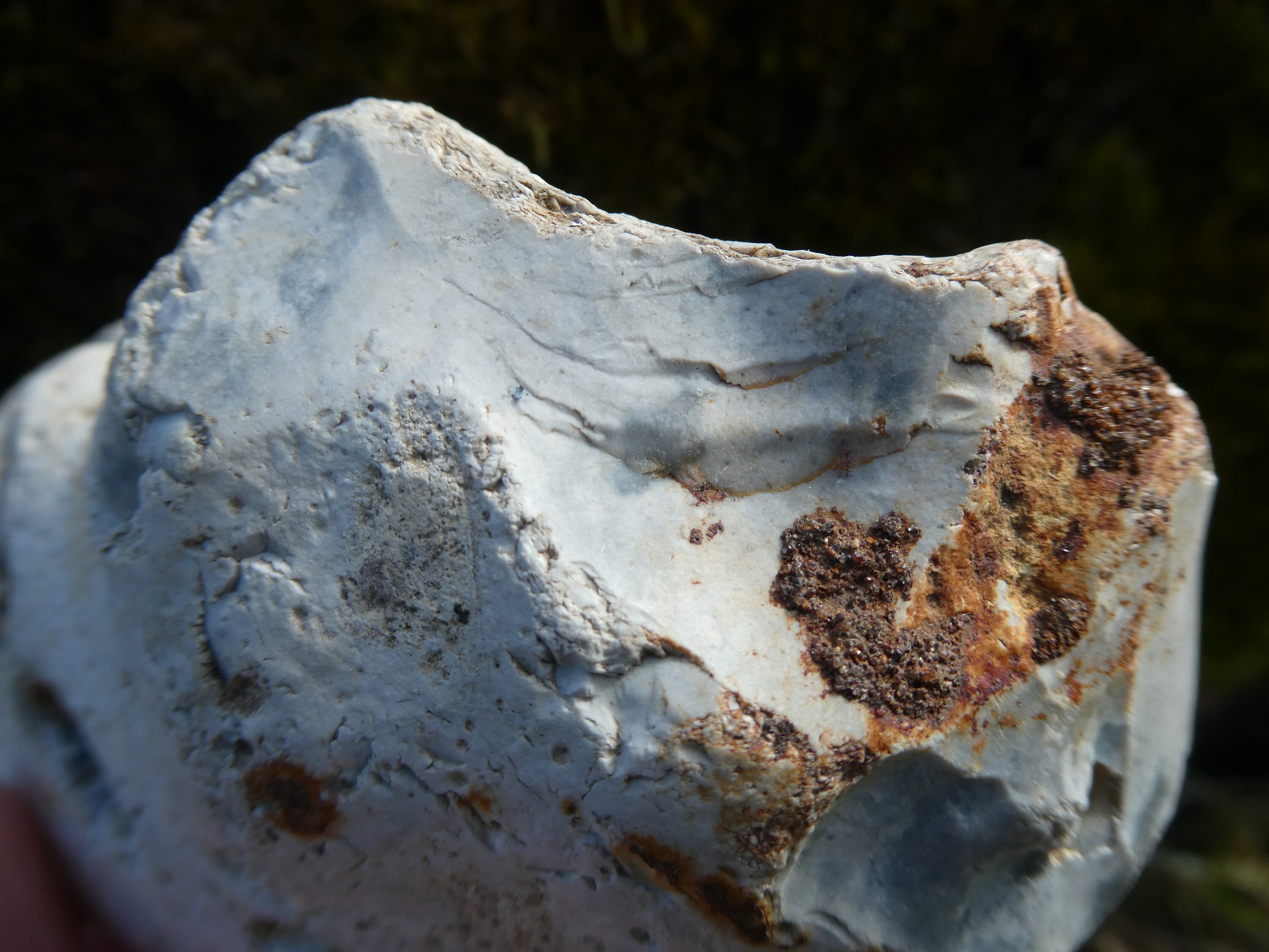 RARE WHITE Raw FLINT Stone / Flint With Iron Inclusions/ Fire Etsy UK