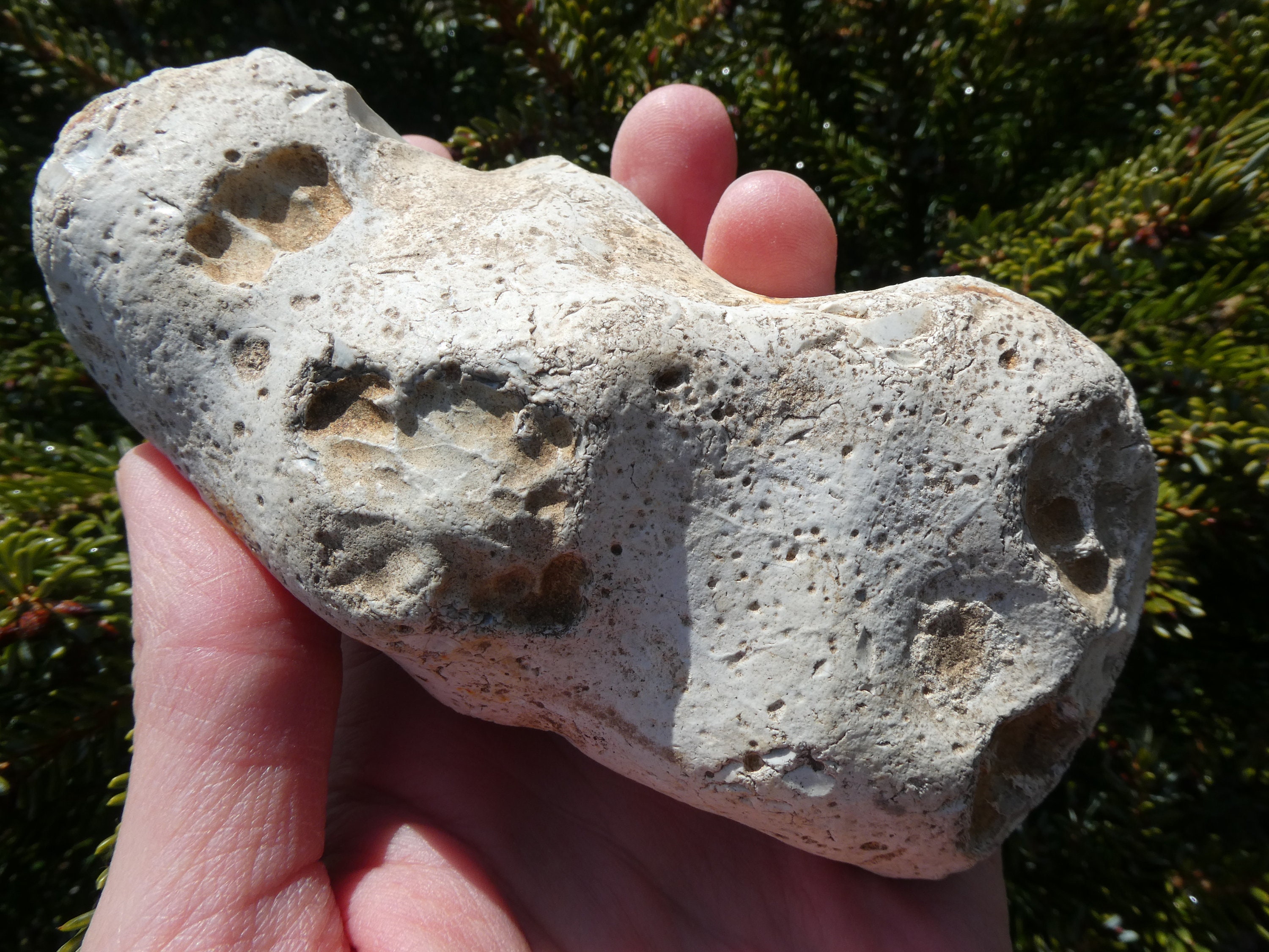 RARE WHITE Raw FLINT Stone / Flint With Iron Inclusions/ Fire Etsy UK