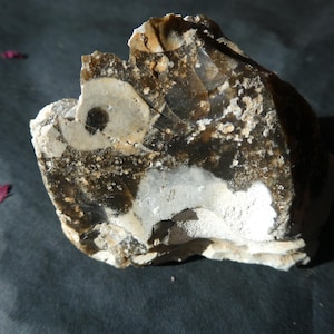Crazy &#39;ONE EYE&#39; Black White FLINT/ Wild Nature Spirit/ Selfstanding Specimen/ Work With Elementals/ Gorgeous Self-Standing Specimen