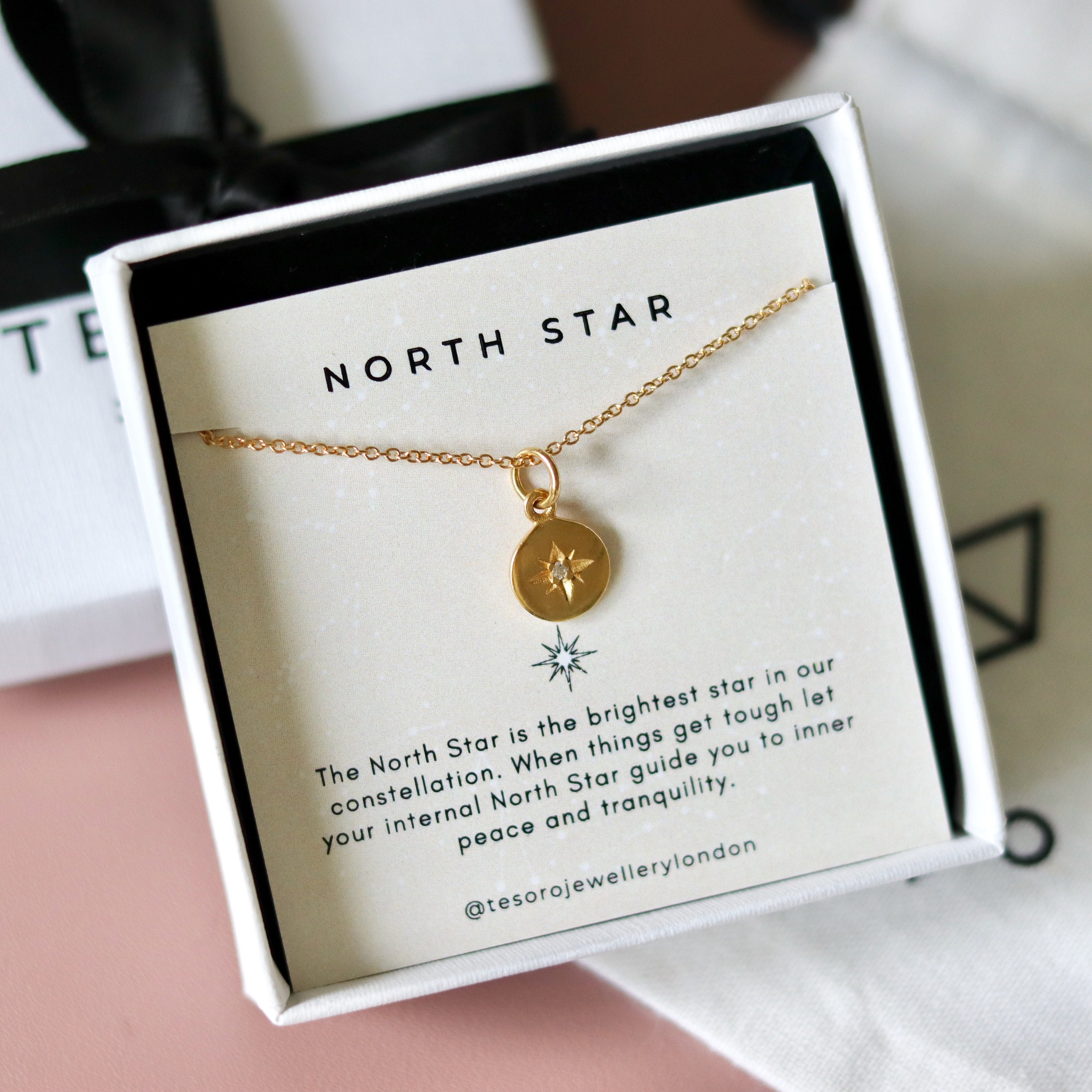 North Star Drop Gold Vermeil Necklace – Danielle Silvie