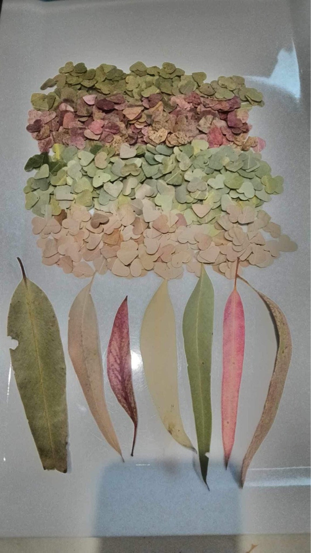 Gum Leaf Confetti Handpunched Hearts 100 Biodegradable Etsy Australia