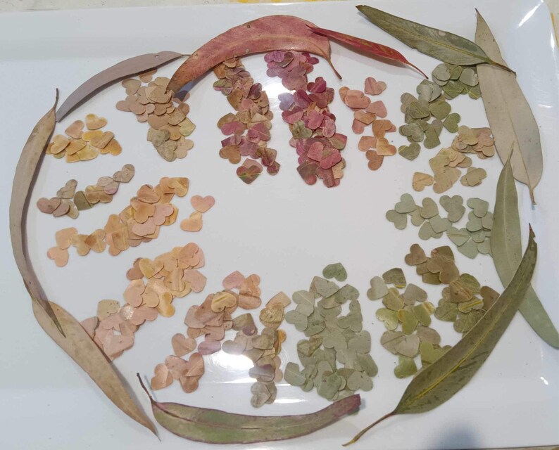 Gum Leaf Confetti Handpunched Hearts 100 Biodegradable Etsy Australia