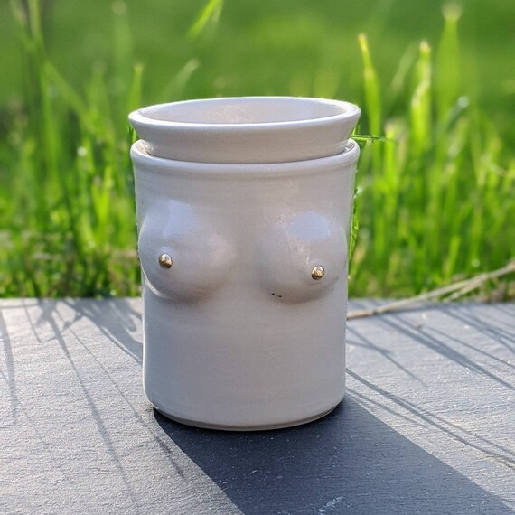 Oil burner wax melts hotsell