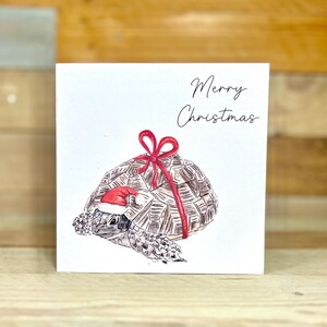 Personalised Tortoise Christmas Card | christmas card for children, grandad, dad christmas card, christmas card, unique christmas cards
