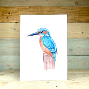 Kingfisher Blank Card | blank notecards, kingfisher card, blank card, blank greeting card, bird greeting card, blank inside, any occasion