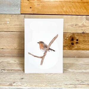Blank Robin Notelet | blank card with envelopes, bird illustration, blank cards, british garden birds, british wildlife, british robin bird
